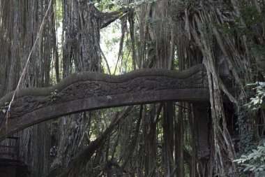 Bali dili ormanda antik taş köprü