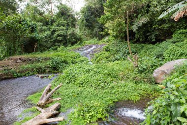 Sekumpul şelaleler Bali