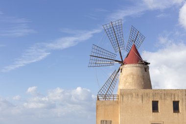 Wwf yel değirmeni tuz tava içinde görünümünü