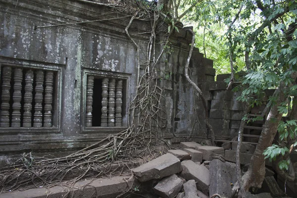 Pokryte w korzenie drzew, świątynia Angkor Wat, — Zdjęcie stockowe