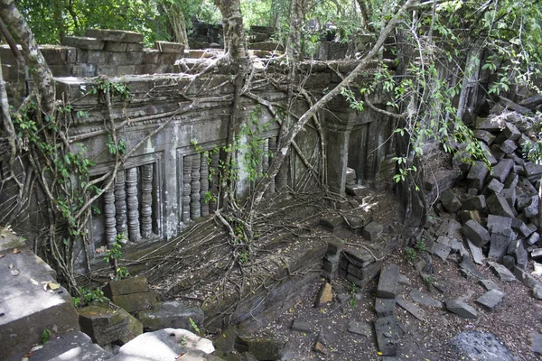 Temple covered in tree roots, Angkor Wat, — Stock Photo, Image