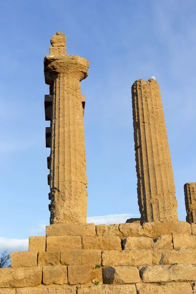 Ruinas griegas del templo — Foto de Stock