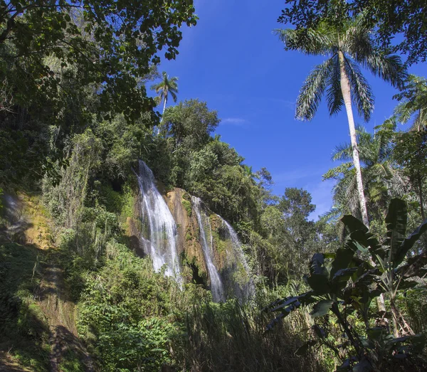 Водоспад у пишному тропічному лісі . — стокове фото