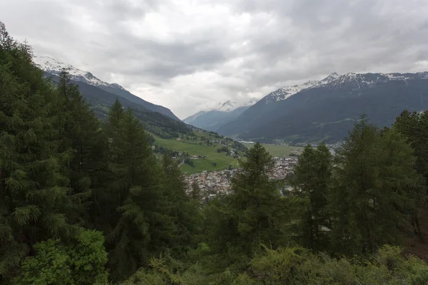 Utsikt Över Bormio Från Berget Italien — Stockfoto