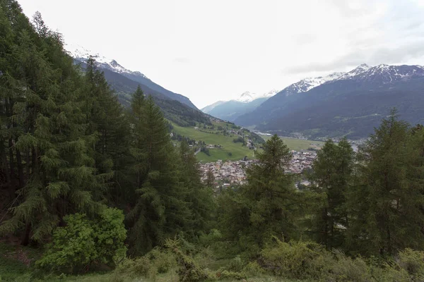 Uitzicht Bormio Vanuit Bergen Italië — Stockfoto