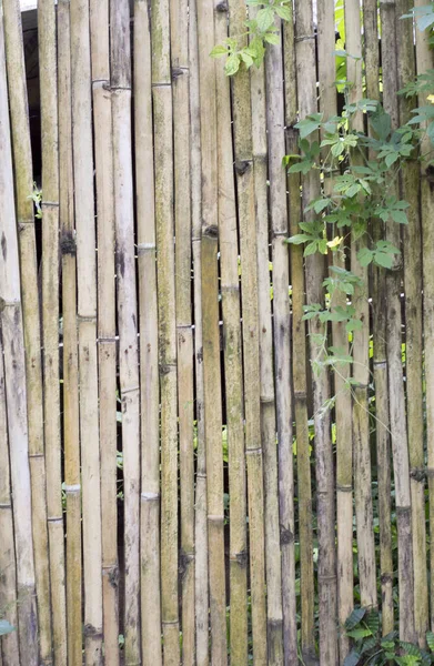 Bir Arka Plan Fotografı Bambu Duvar Endonezya — Stok fotoğraf