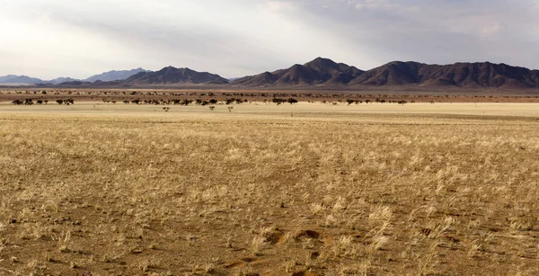 Panoramatický Pohled Krajinu Twyfelfontein Namibii — Stock fotografie