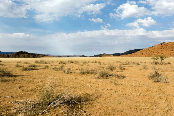 Panoramiczny Widok Krajobraz Twyfelfontein Namibii — Zdjęcie stockowe