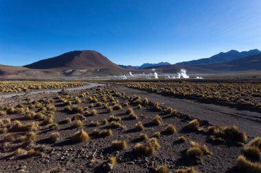 El Tatio 'daki manzara, gayzer manzarası, Şili