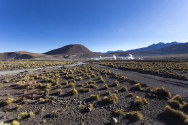 El Tatio 'daki manzara, gayzer manzarası, Şili
