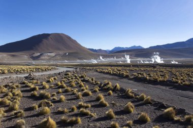 El Tatio 'daki manzara, gayzer manzarası, Şili