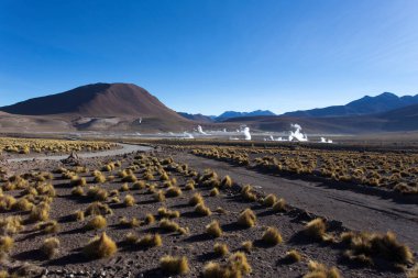 El Tatio 'daki manzara, gayzer manzarası, Şili