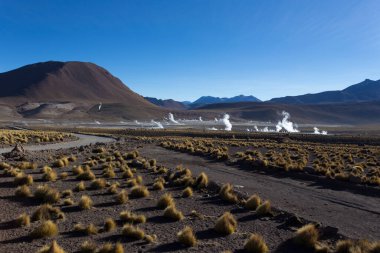 El Tatio 'daki manzara, gayzer manzarası, Şili