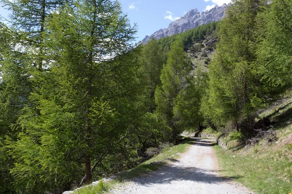 Landscape View Trekking Bormio Italy — Stock Photo, Image