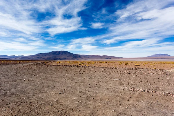 Paysage Haute Montagne Bolivie — Photo