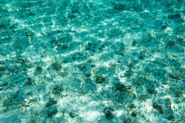 Vista Laguna Bajo Agua Nueva Caledonia — Foto de Stock