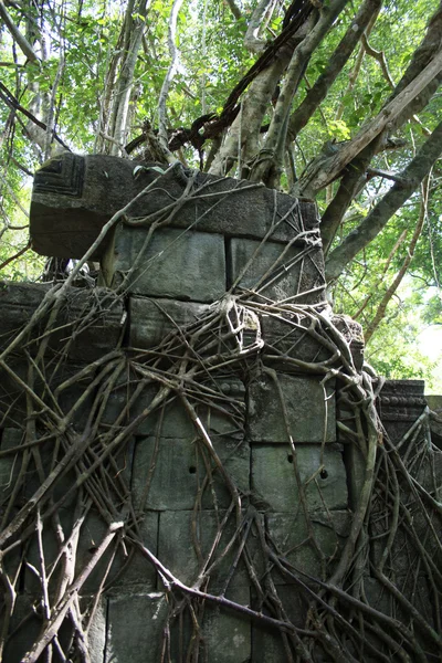 柬埔寨吴哥窟的寺庙 — 图库照片