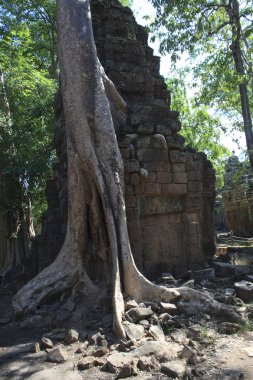 Angkor'ın popüler tapınaklar, Kamboçya