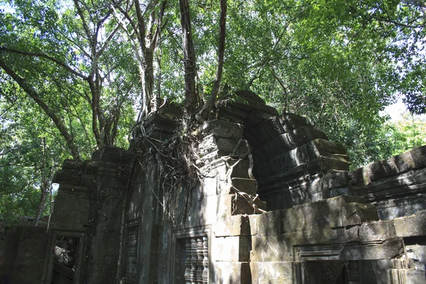 Templele populare din Angkor, Cambodgia — Fotografie, imagine de stoc