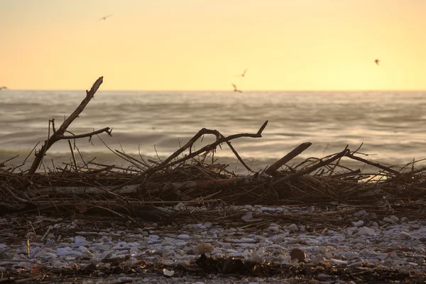 Strand télen, Olaszország — Stock Fotó