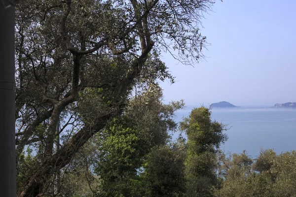 Seaview lerici — Fotografia de Stock