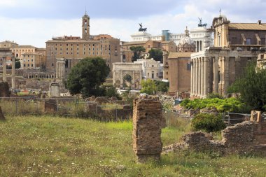 Roma Forumu