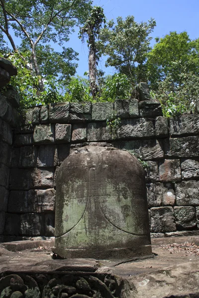 Angkor wat — Stock fotografie