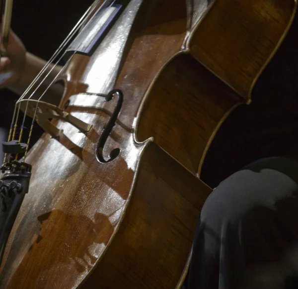 大提琴桥的特写镜头 — 图库照片