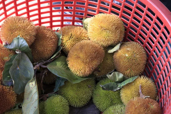 A close up of durain fruits — Stock Photo, Image