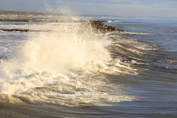 Gevaarlijke aard — Stockfoto