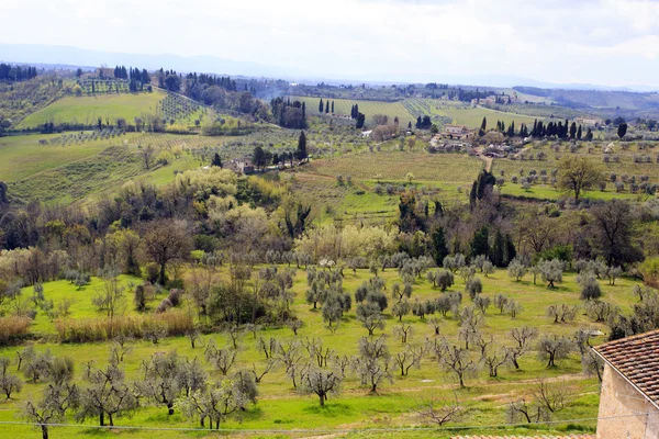 Hügel, Weinberge und Zypressen, Toskana — Stockfoto