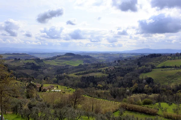 Toscana paisagem selvagem com campo, ranhura, céu temperamental. Itália — Fotografia de Stock