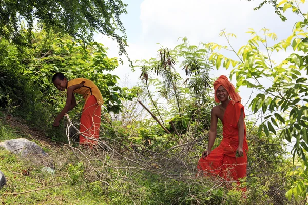 Junge buddhistische Mönche in einem Garten, der Pflanzen sammelt, phnom penh, — Stockfoto