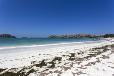 Tanjung aan beach kuta Lombok