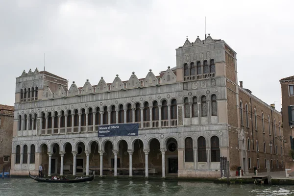 Weergave van het natural history museum in Venetië over de grand cana — Stockfoto