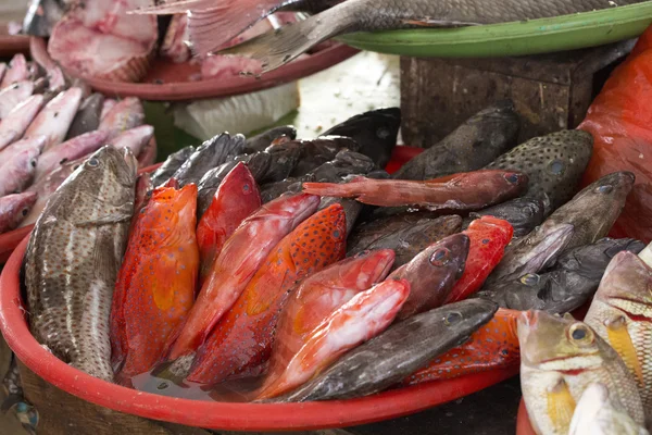 Vissen op de markt in Indonesië — Stockfoto