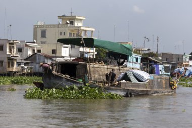 Taze ürün satıcıları tekne tekne Cai Rang satmak.