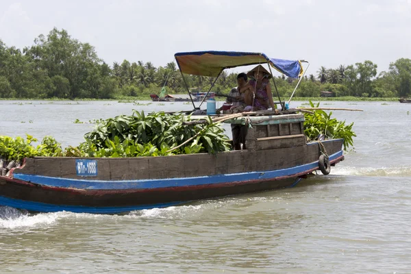 Taze ürün satıcıları tekne tekne Cai Rang satmak. — Stok fotoğraf