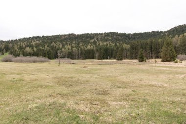 Ecchen Peat Bog Biotope 'un İtalya' daki bir fotoğrafı