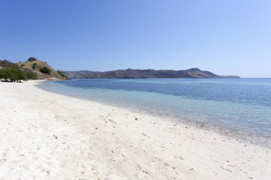 komodo Ulusal Parkı içinde pembe plaj güneşli bir gün