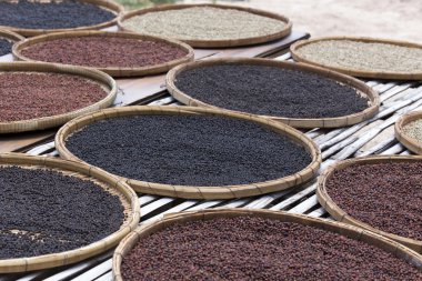 çeşitli Kampot biber