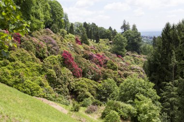 Çiçek park Burcina, Biella, İtalya