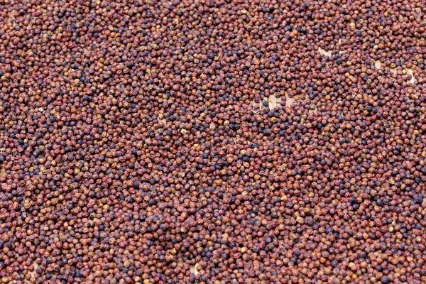 çeşitli Kampot biber