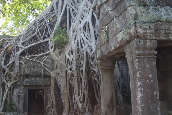 Detail kamenných chrámu Angkor Wat, Kambodža — Stock fotografie