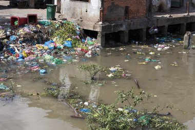 Sonra Haad Rin sahilde deniz su kirliliğinin sonuçları 