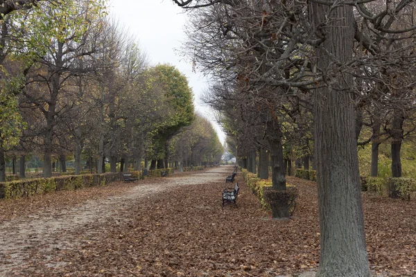 ウィーン公園の秋 — ストック写真