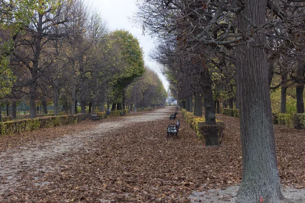 公園の秋 — ストック写真