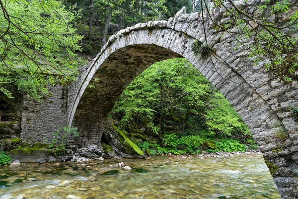 Blick Auf Die Traditionelle Steinerne Michou Brücke Thessalien Griechenland — Stockfoto