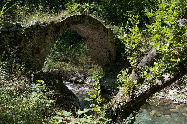 Άποψη Παραδοσιακού Πέτρινου Γεφυριού Στην Ήπειρο — Φωτογραφία Αρχείου