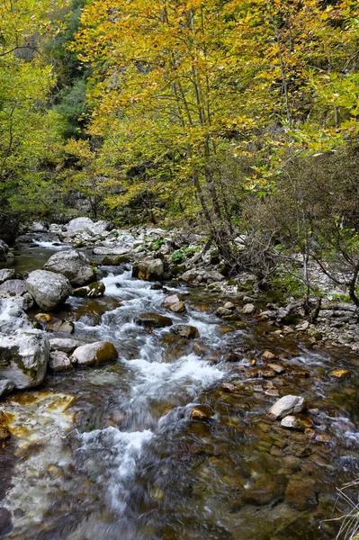 ギリシャエピルスのTzoumerka山のストリーム — ストック写真